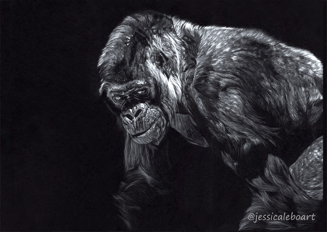 colored pencil on black paper drawing gorilla