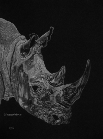 fine art white charcoal pencil drawing rhino on black paper