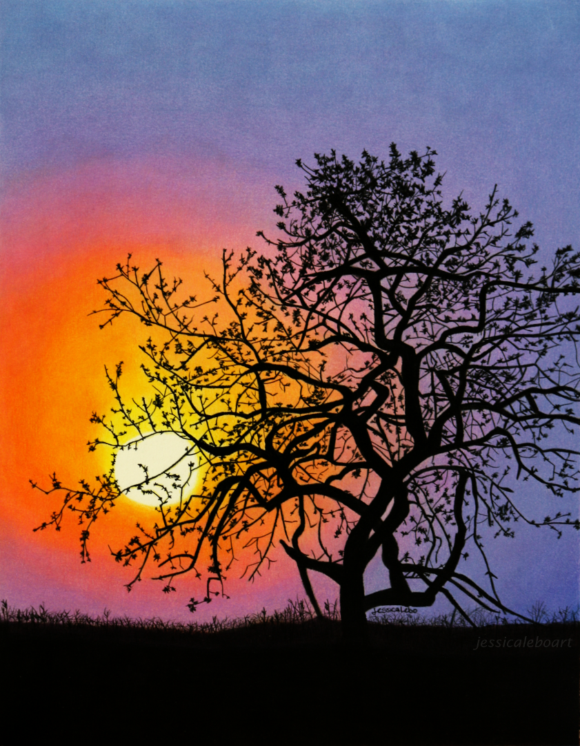 Featured image of post How To Draw A Sunset With Colored Pencils Step By Step : This video is all about the how to coloring a sunset landscape with color pencils | step by step pencil art.it shows how to draw and shading objects in an.