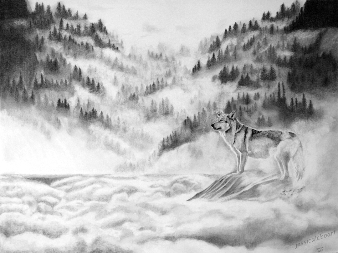 fine art graphite pencil drawing animal wolf in fog mountains