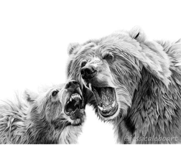 animal art graphite pencil drawing baby bear cub