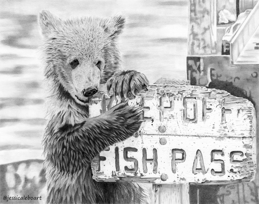 fine art graphite pencil drawing animal cute bear cub