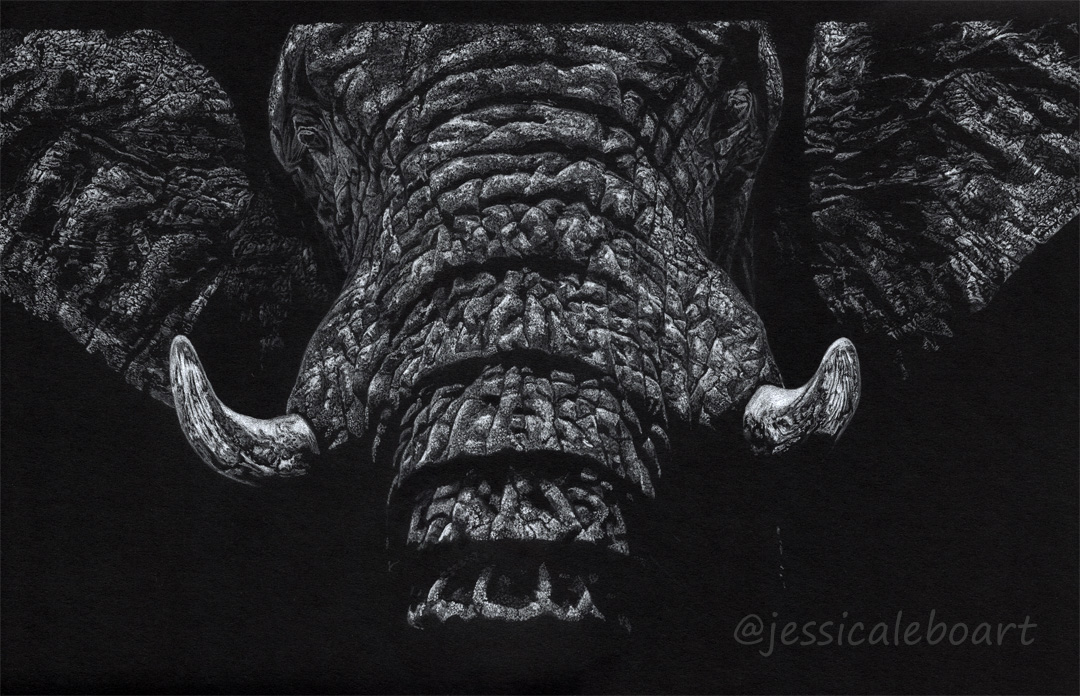 wildlife art realism white on black paper drawing