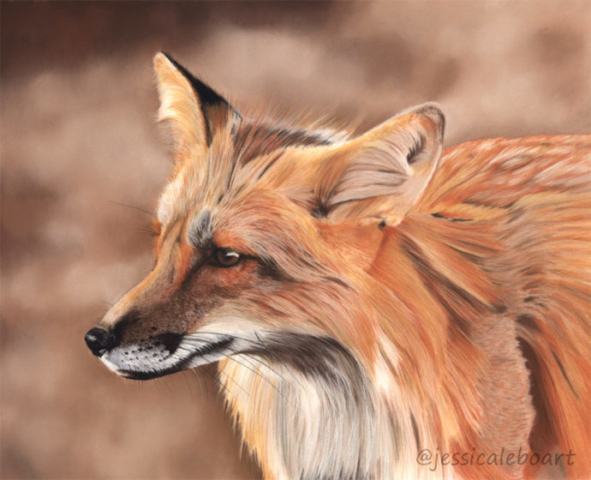 pastel animal realism drawing wildlife art painting