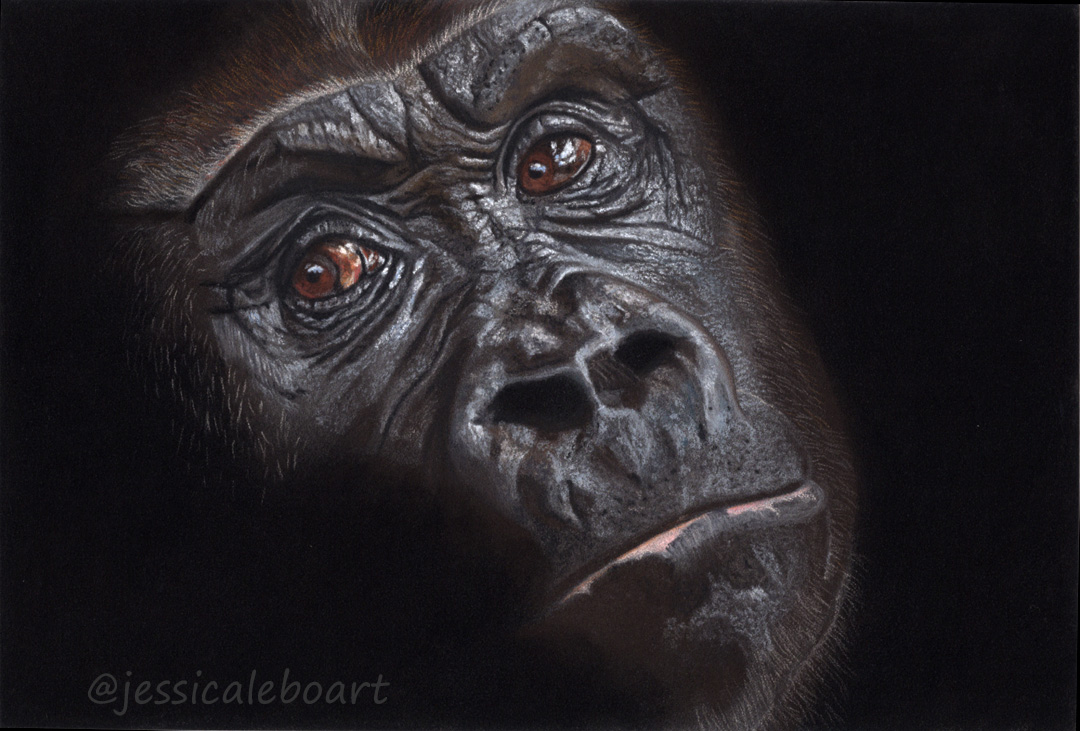 wildlife art painting realism pastel drawing