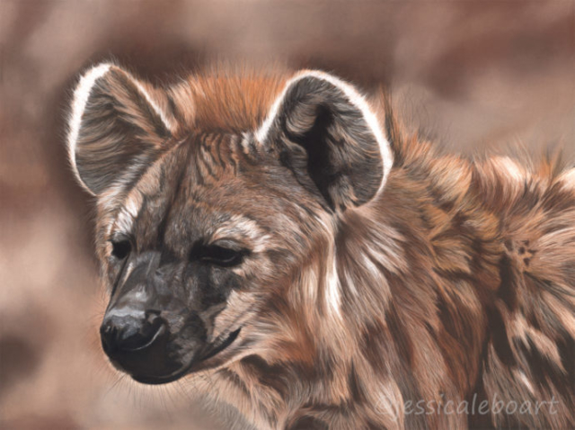 wildlife pastel realism drawing artwork hyena african animals