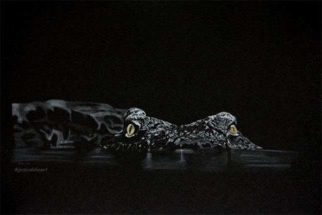 fine art colored pencil drawing on black paper crocodile at night