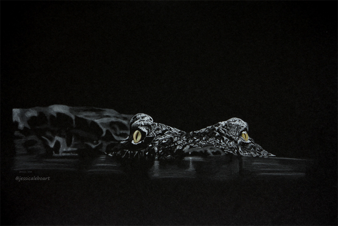 Black Paper Drawings Jessica Lebo Art