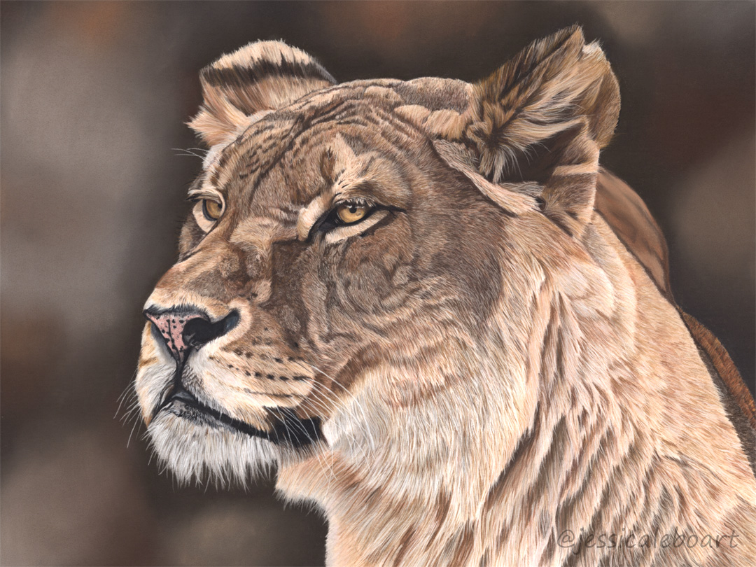 realistic pastel wildlife animal drawing