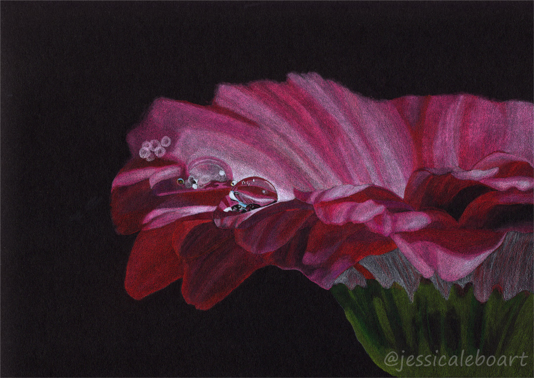 colored pencil on black paper flower drawing