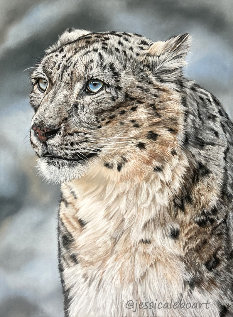 pastel realistic snow leopard drawing