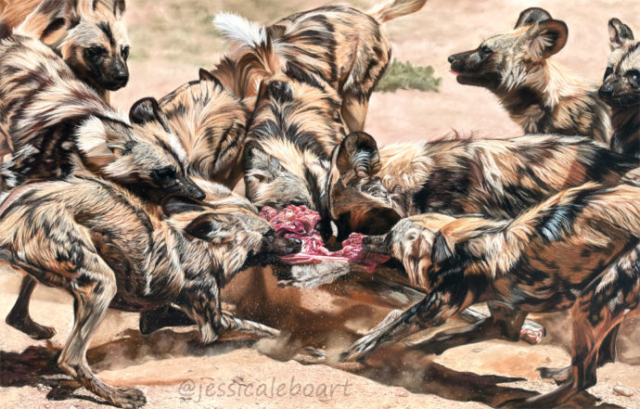 realism pastel wild dogs drawing fine art