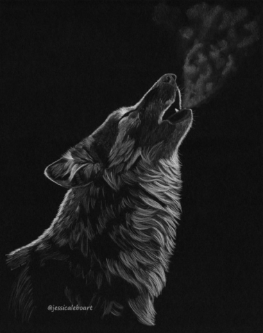 fine art white colored pencil drawing sketch on black paper animal wolf howling