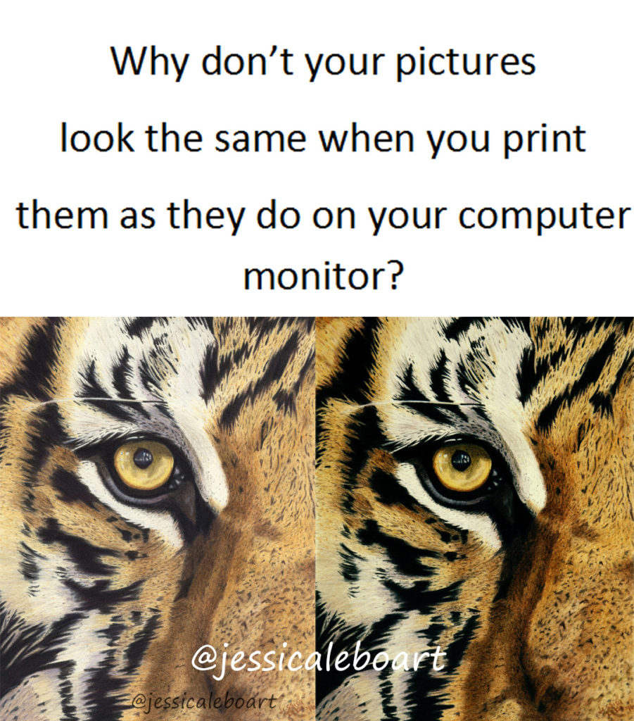 The importance of a good monitor. (Or why don't my printed pictures match what's on my monitor!) - Jessica Lebo Art