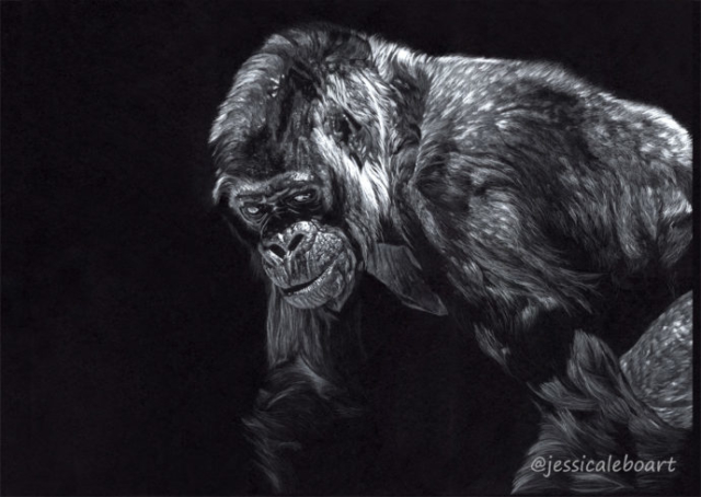 gorilla colored pencil drawing on black paper